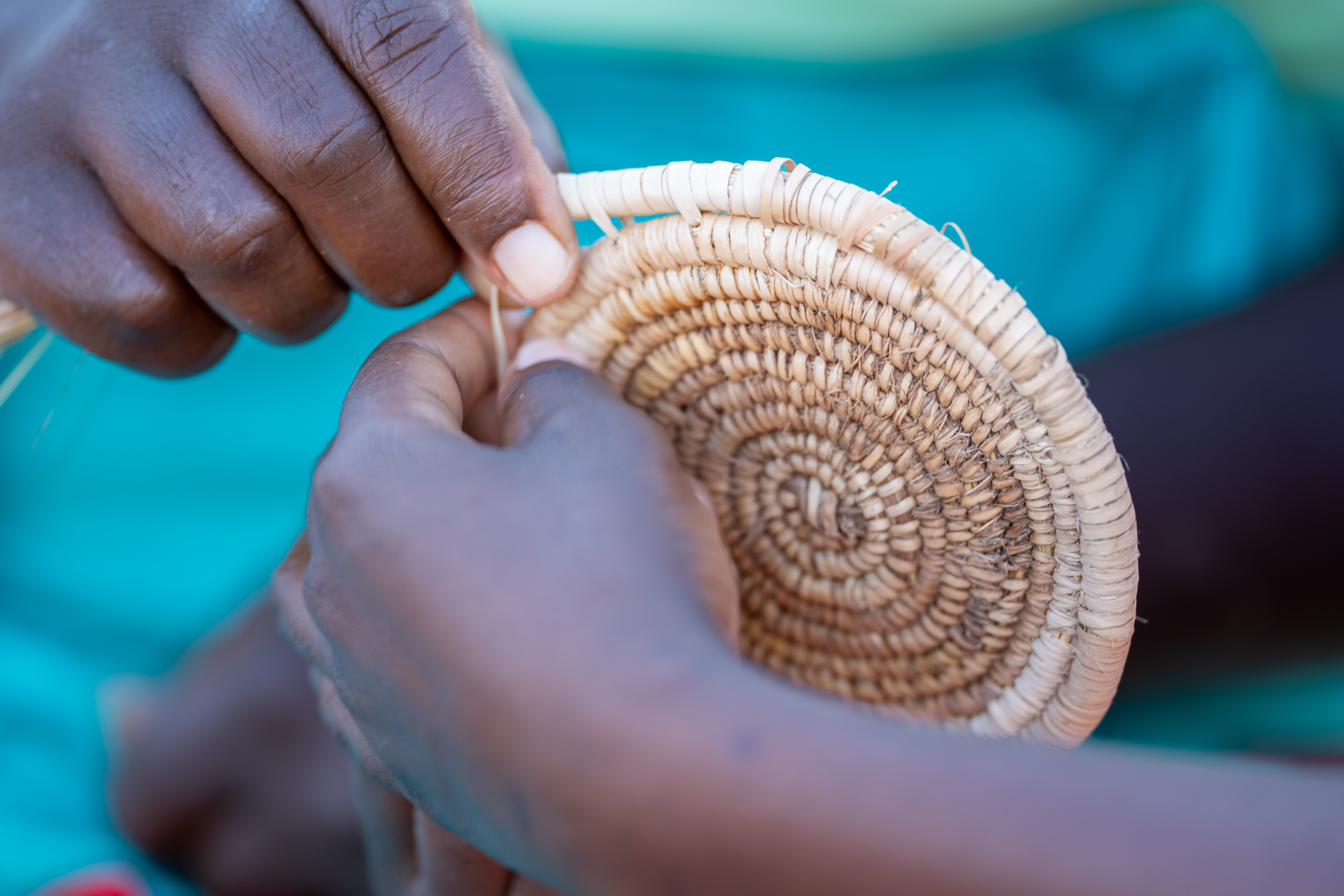 Conservation filmmaking in Zambia