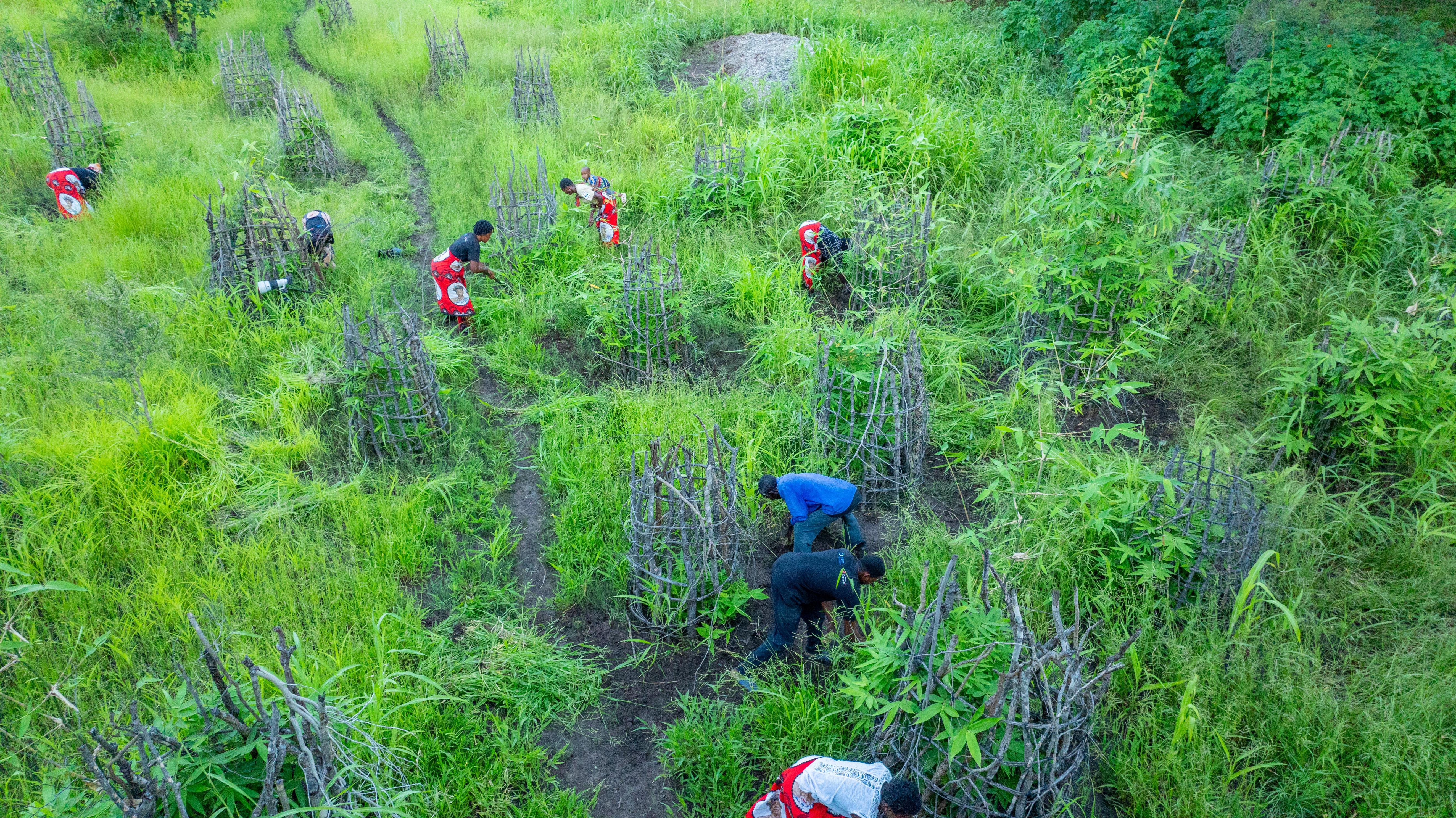 Aerial wildlife photography Zambia
